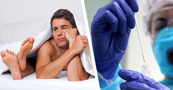 Источник фото : Yandex.ru