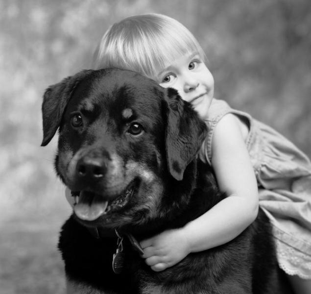 Ходите больше на прогулку с вашими четвероногими. И болезни депрессии  вас пройдут стороной.  