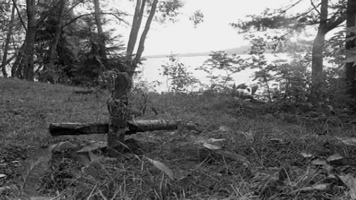 фото из открытого источника.