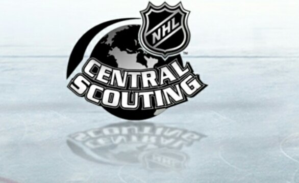 Фото:mihockey.com