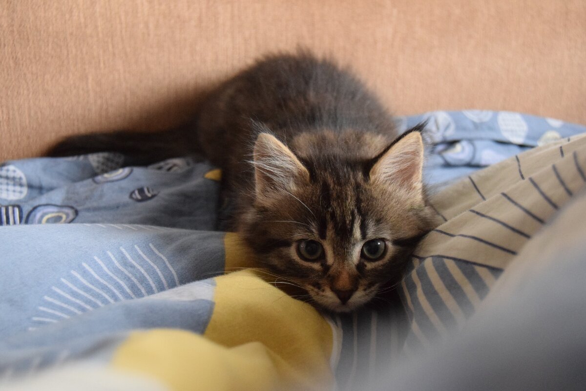 ориентируюсь в пространстве