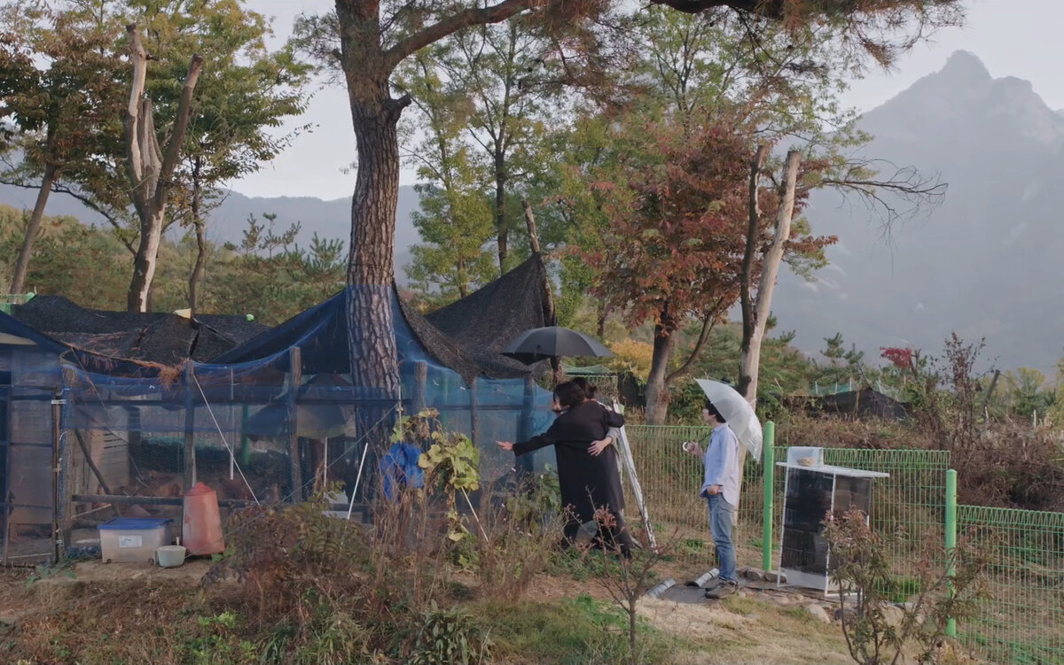 Кадры из фильма «Женщина, которая убегала»