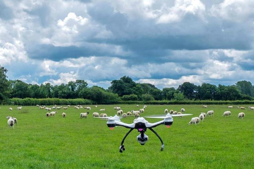 Квадрокоптер вместо собаки