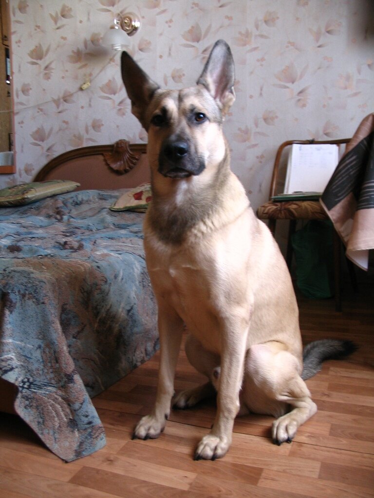 Повзрослел 