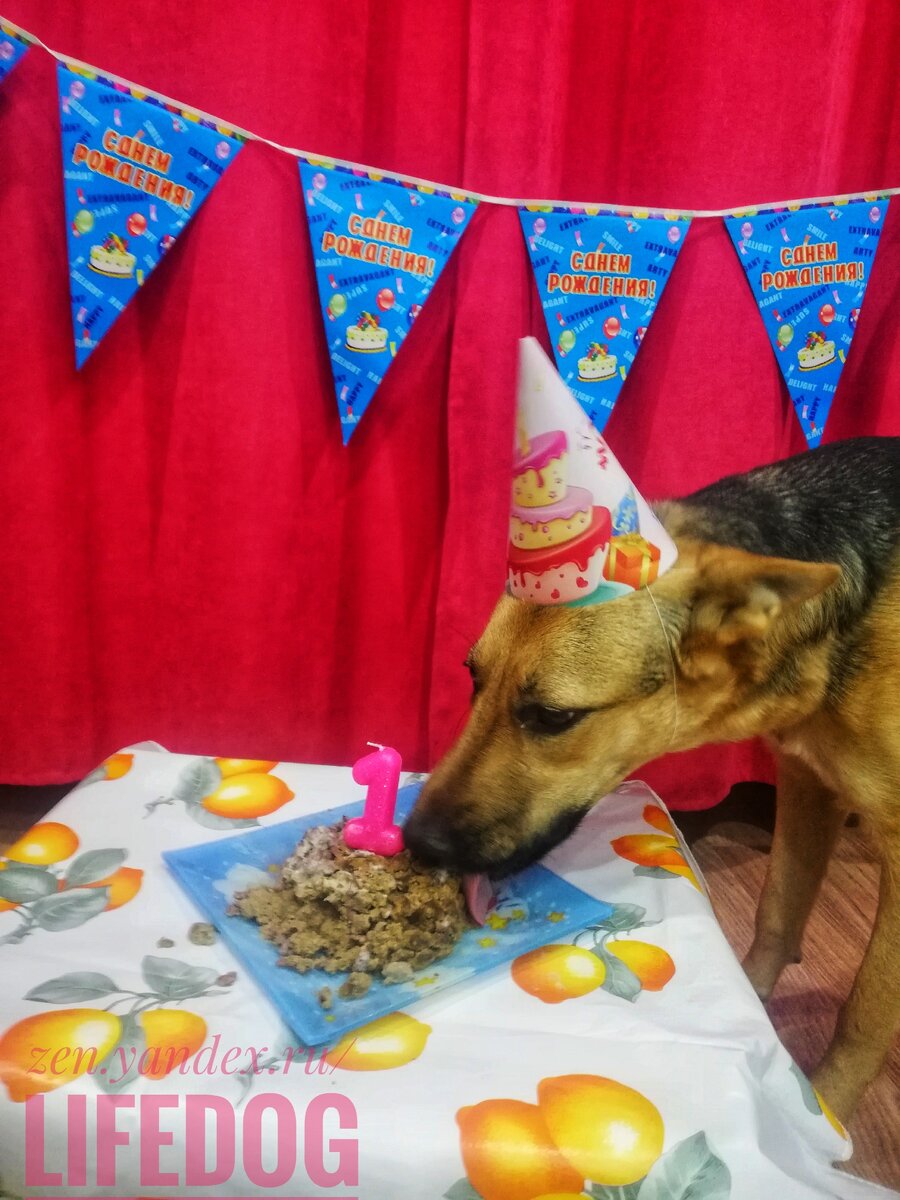 Джесси поедает свой тортик