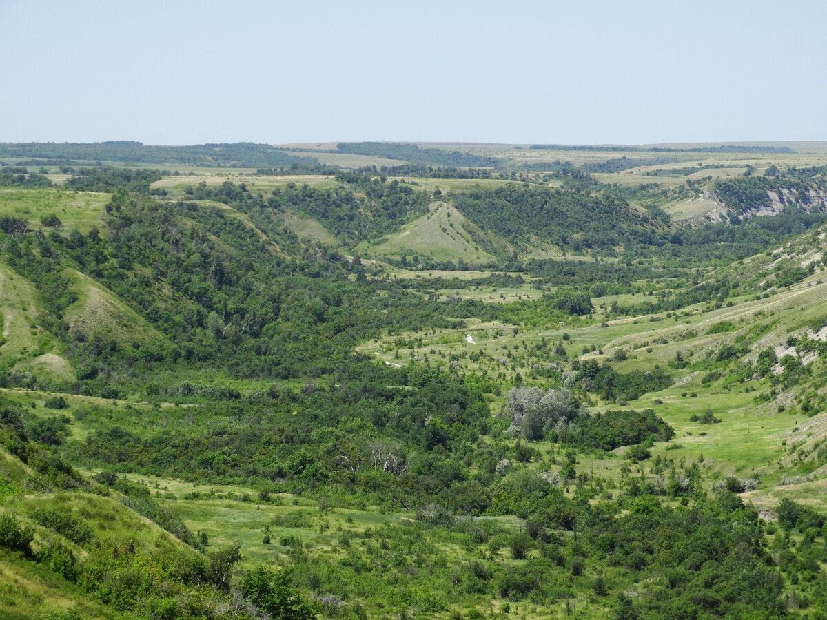 даниловский парк