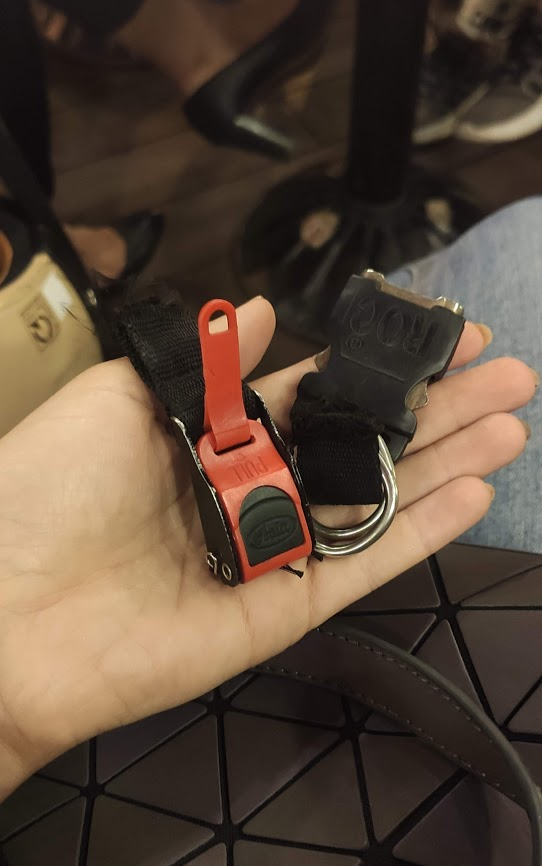 Все, что осталось