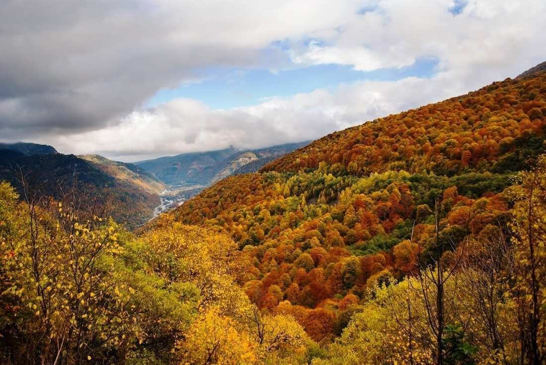 Роза Хутор осень