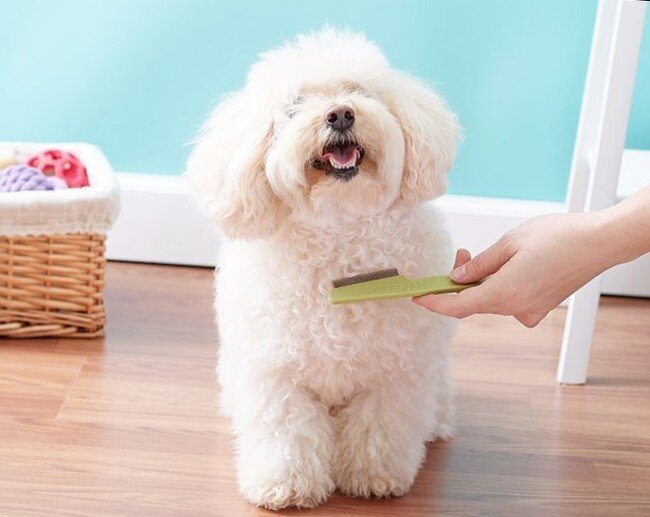 Секреты ухода за шерстью собак