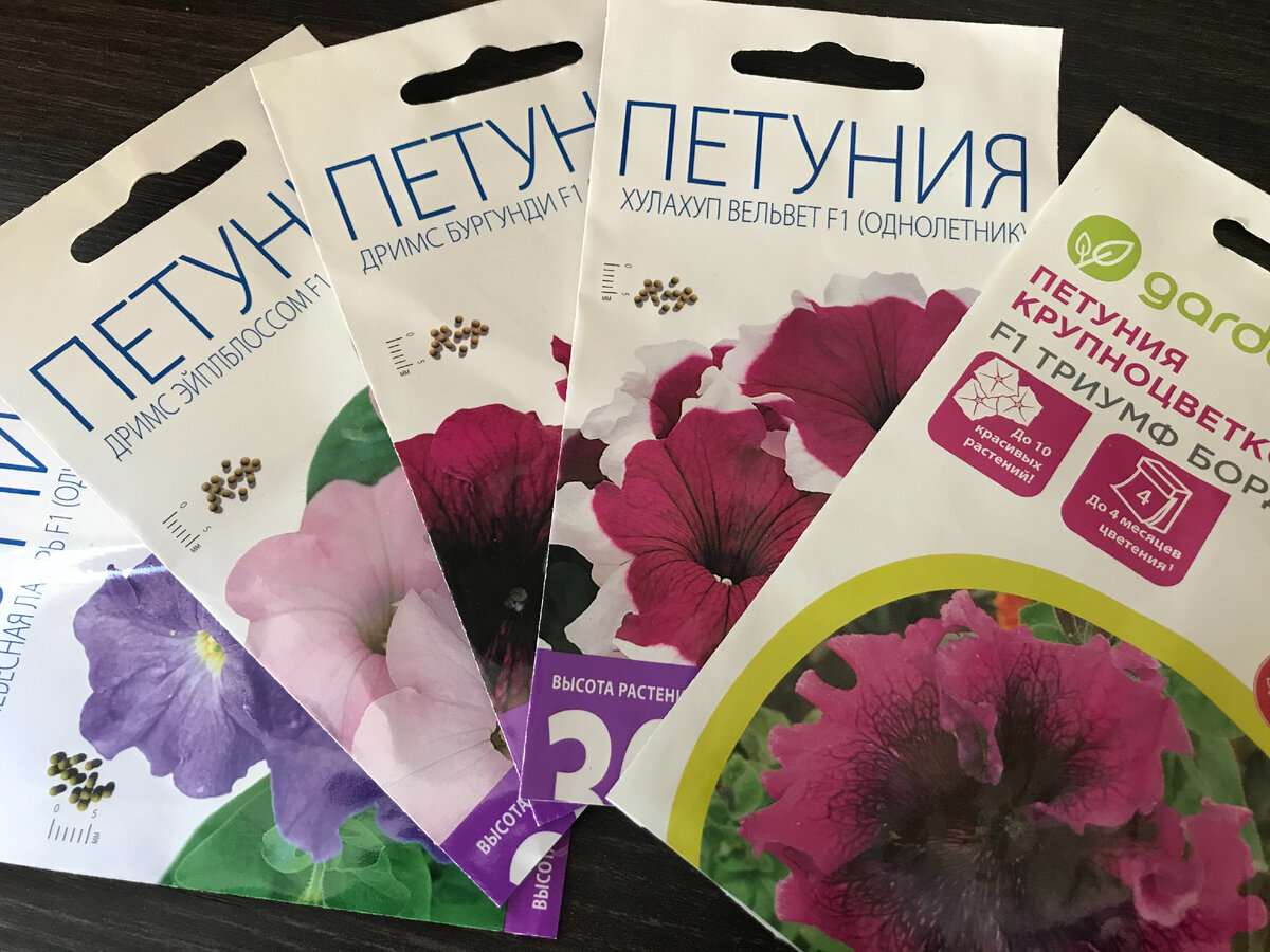Эти петунии я посеяла слишком поздно по мнению большинства, аж 21 марта. Посмотрим, какие они уже стали сейчас, через месяц после посева.