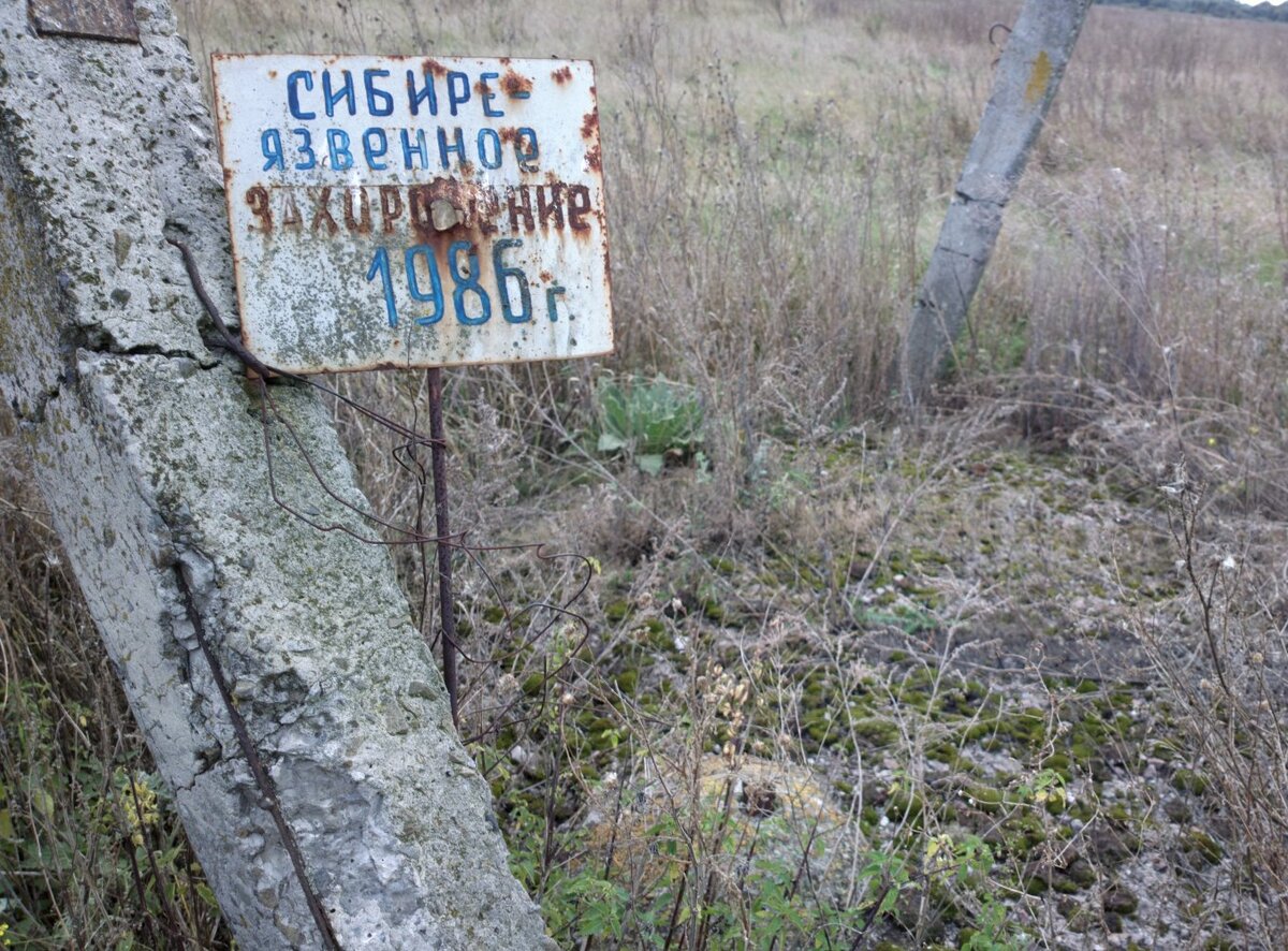 Вспышка сибирской язвы на Ямале - только начало, под угрозой все Заполярье  | Detkok | Дзен