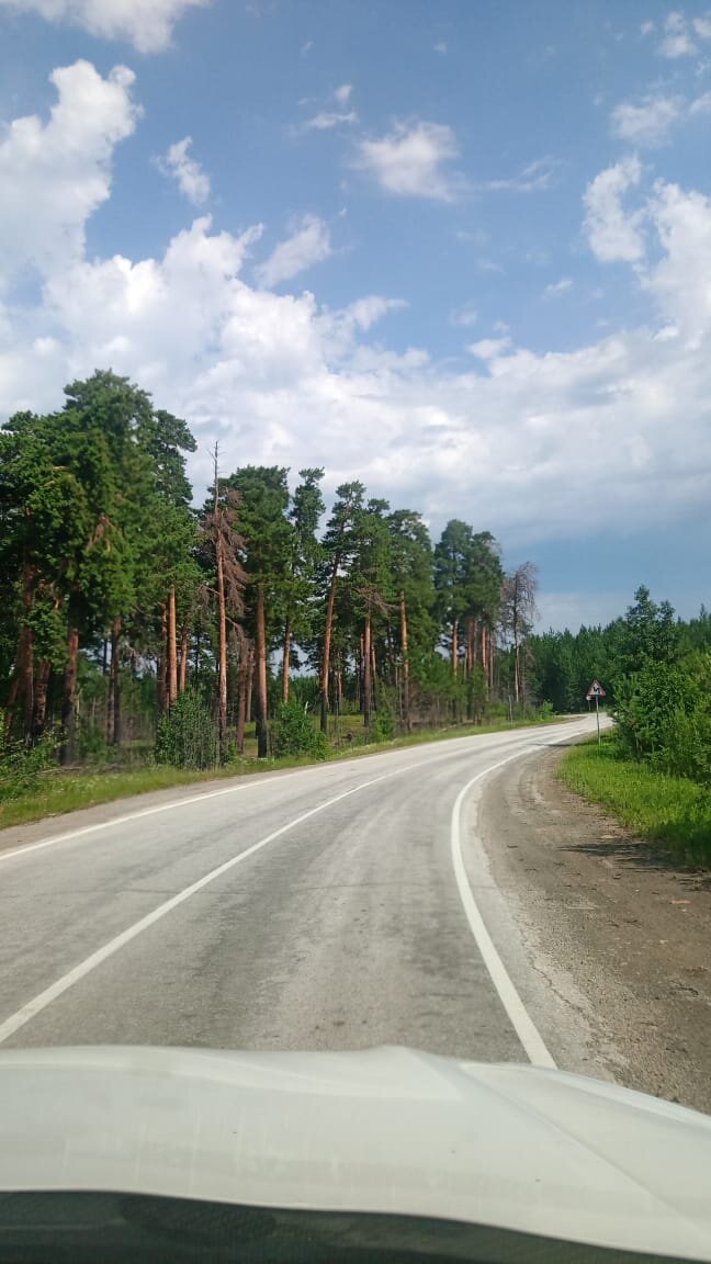 
Две недели назад поссорились с мужем на тему правильно ли делать прививку от Ковид! Тема крутая, ëмкая, конечно же "стоящая" двухнедельных страданий супругов)) 
Спор закончился тем, что я употребила в своей речи двусмысленный фразеологизм про "метание бисера перед свиньями", который был воспринят моим, не самым гениальным мужем, как личное оскорбление. 
"Ты назвала меня свиньей!"
А как положено женской психике, пламенной, как костер из соломы, "Остапа понесло" (в смысле меня) 
"Свинья" узнала, что он ещё тупой, ленивый, финансово несостоятельный гад и живут с ним только из-за секса (что вообще-то должно было показаться плюсом в этом случае, хотя-бы не из-за детей или ипотеки) 
Теперь две недели два "абсолютно чужих" человека, живущих теперь в разных комнатах большого дома, воспитывающие двух детей и двух котов думают, кто из них абъюзер, а кто газлайтер и другие разные гадости. 
Как быть, ссора не стоит выеденного яйца, последствия могут быть ужасны? 
Каждый день я живу с осознанием того, что наверное пора быть самодостаточной женщиной и не зависеть от отношений со всякими слабаками, но вечером находит грусть и хочеться под теплое крылышко своего любимого, сопящего от злости в соседней комнате. 
Что думает любимый, будучи все-ещë свиньëй, не знаю. 
Надеюсь узнаю и завтра напишу))) 