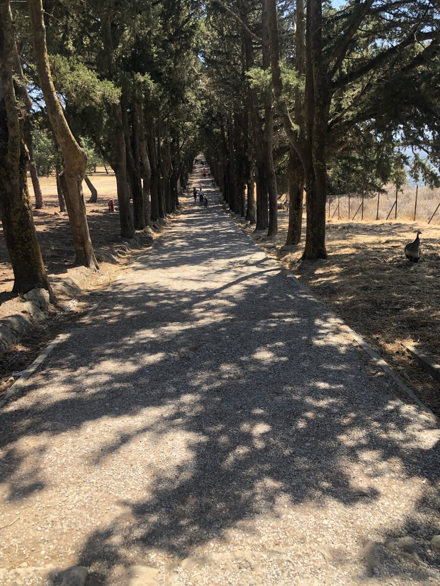 Филеримос. Путь на Голгофу