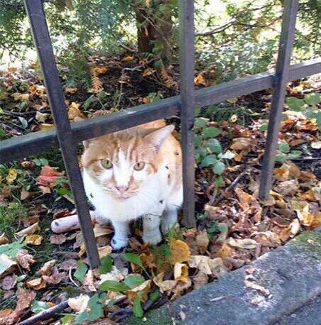Он так и сидел на одном месте не шевелясь