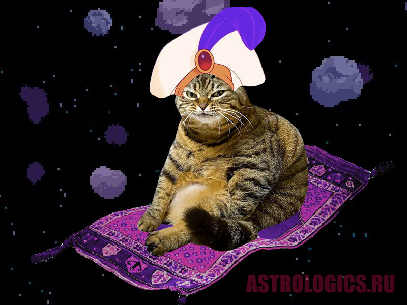 Гороскоп удачи для Стрельца на сентябрь 2021 года