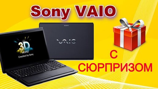 Принесли подклеить петли на Sony VAIO PCG-81314V. А там....