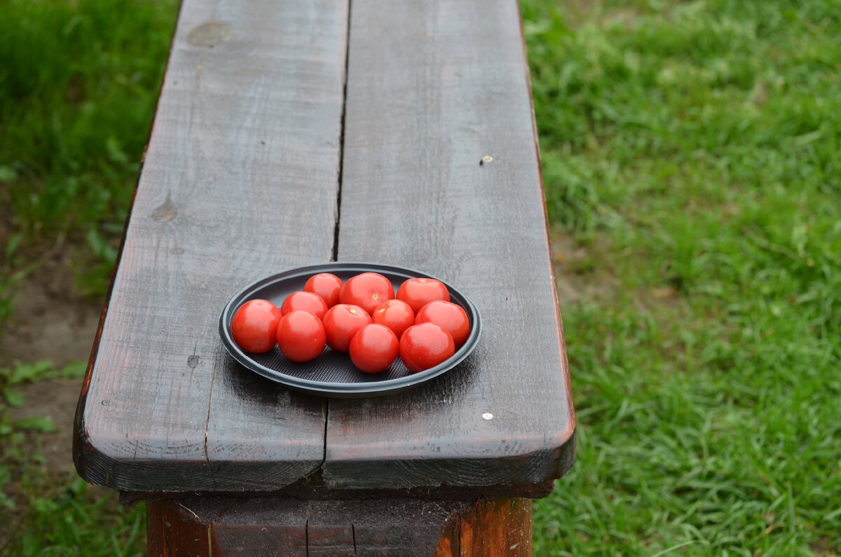 Фото автора. Помидоры черри.