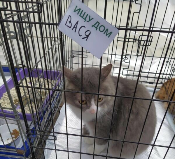 Фото: Никита Чудин