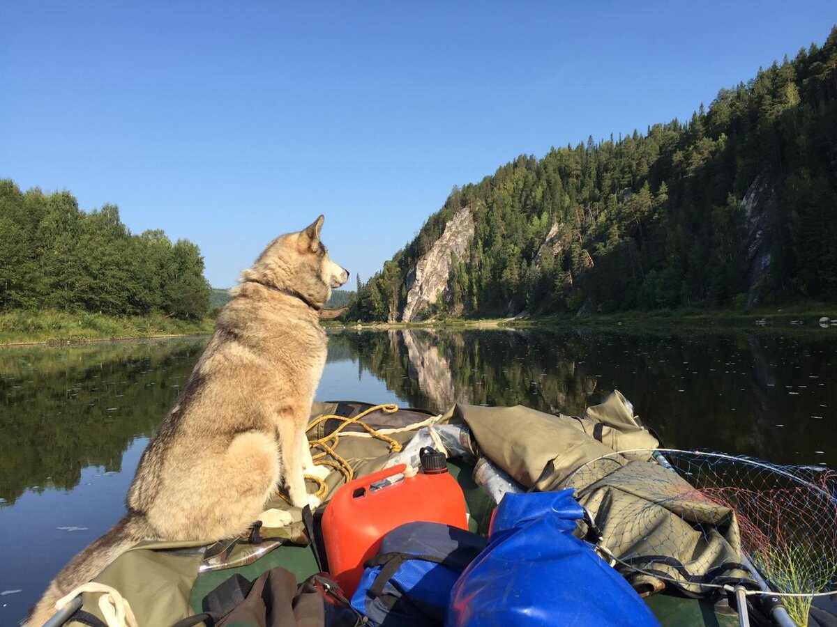 Лайма ценитель природы и красоты