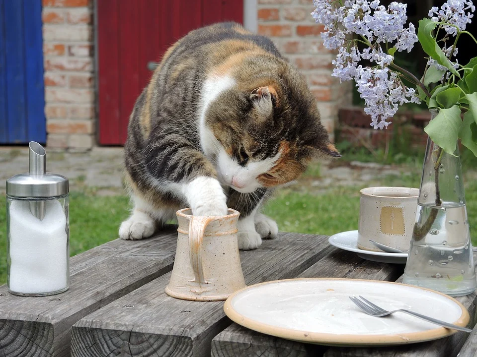 Эксперт! Хотя кошкам молоко не советуют давать, но многим животным нравится вкус молока. Может потому, что это истинный вкус детства?