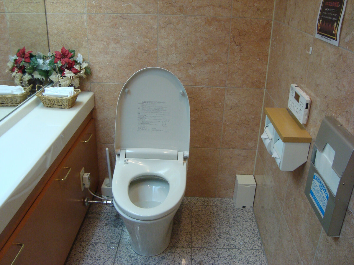 В качестве иллюстрации буду показывать японские туалеты. Как выглядят наши, мы и так все знаем.