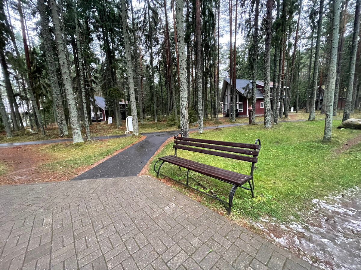 Фото сделано на территории парк-отеля 