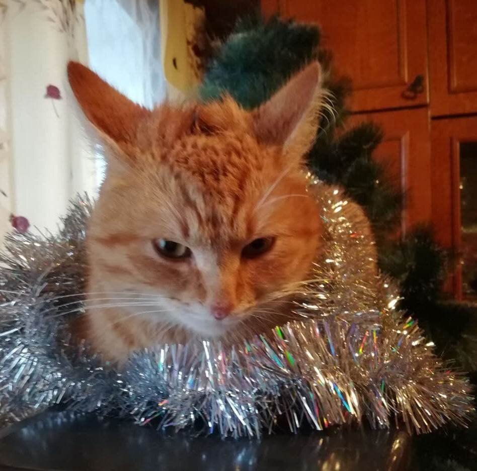 Фото Маргариты Грачёвой