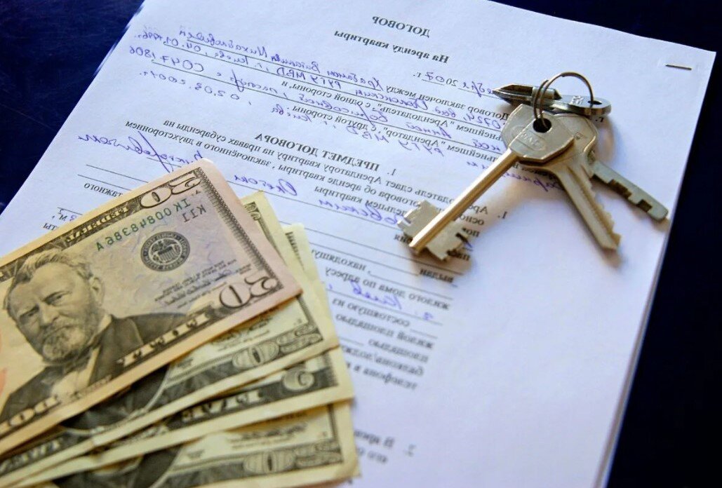 Фото взято из открытого источника