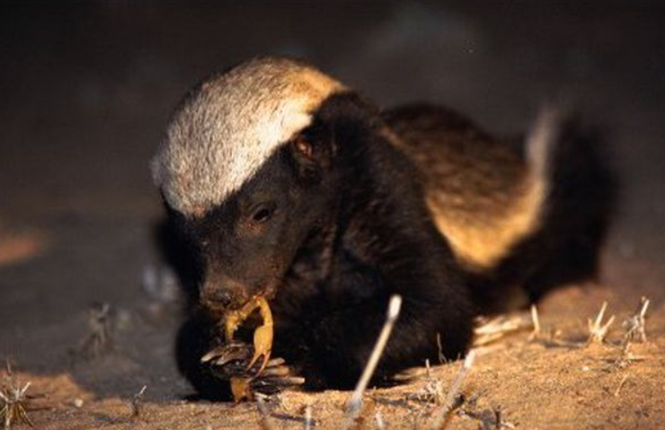 Вкусно и очень полезно. Фото: multiurok.ru