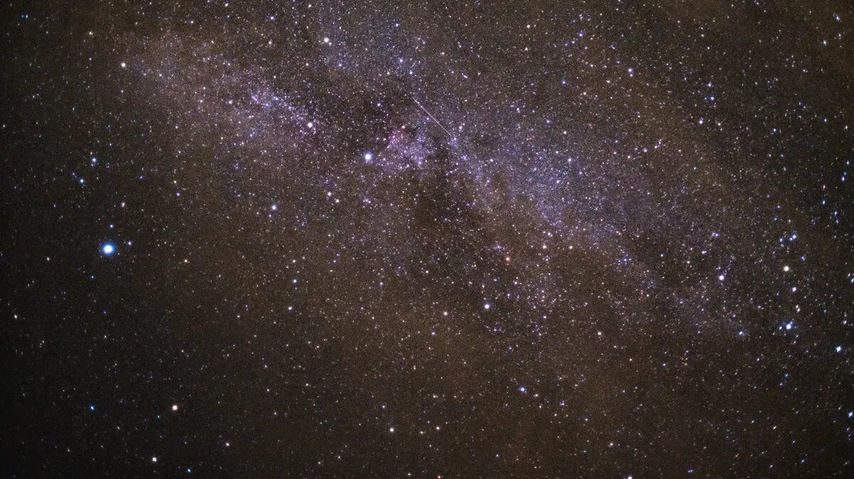 Еще год назад Драган была уверена, что появится давление власти на людей. Фото: Pxfuel.com