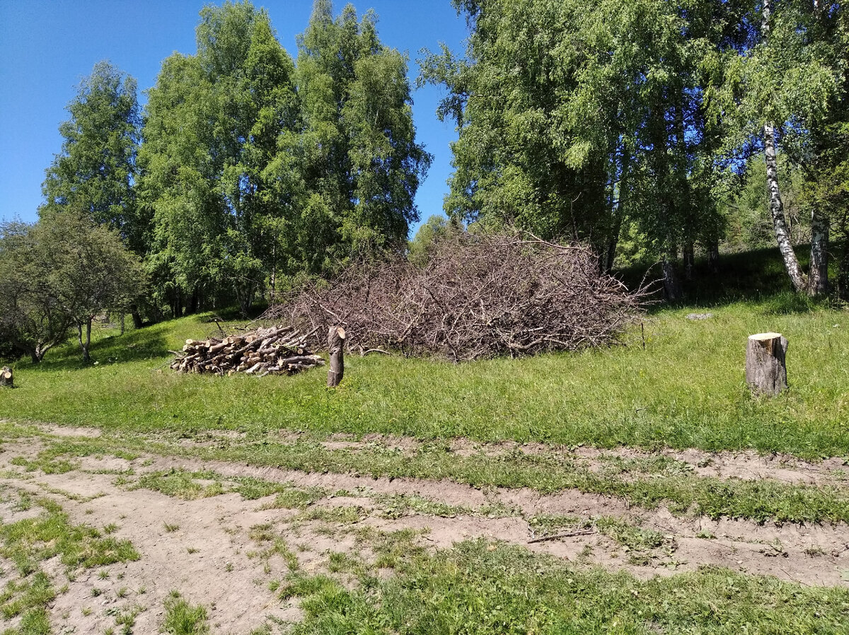 Яйлю - единственное заповедное село в России на территории Алтайского  биосферного заповедника | Путешествия по Сибири и Дальнему Востоку | Дзен