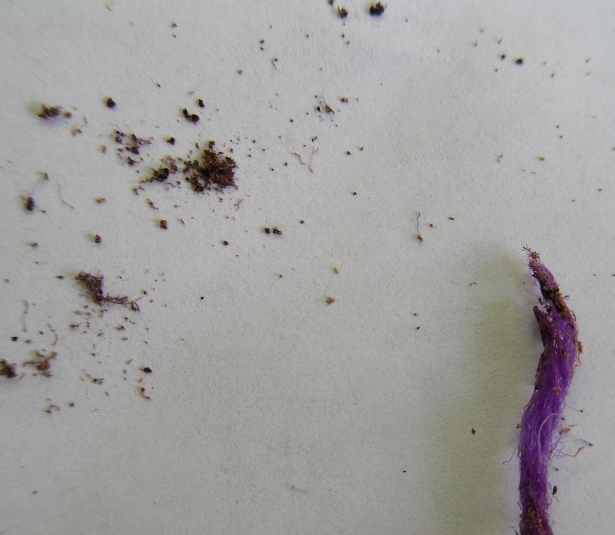 Шерсть 100% Пехорка