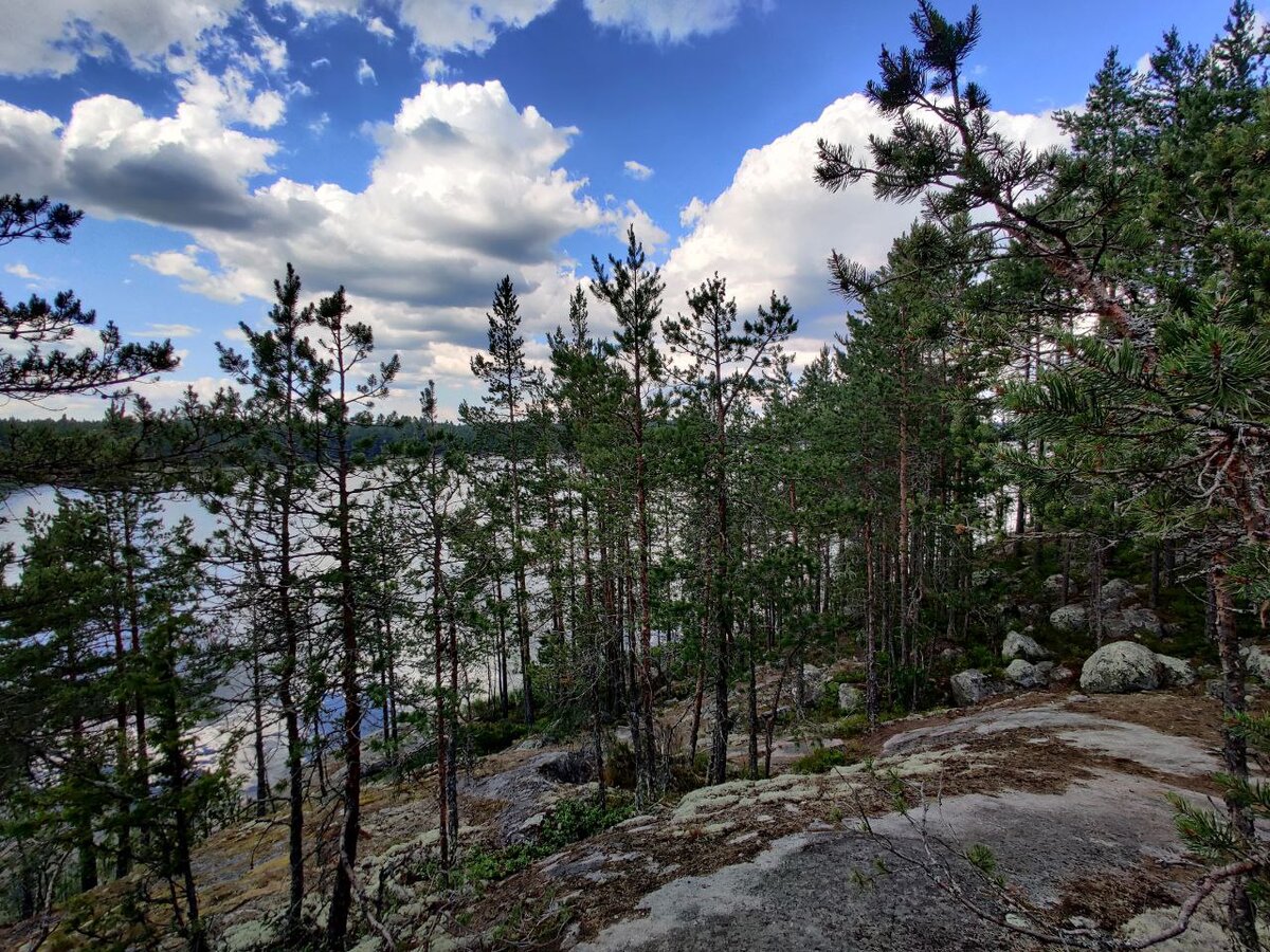 Остров Койонсаари, Республика Карелия 