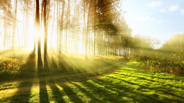    © Depositphotos.com / ivan_dzyuba