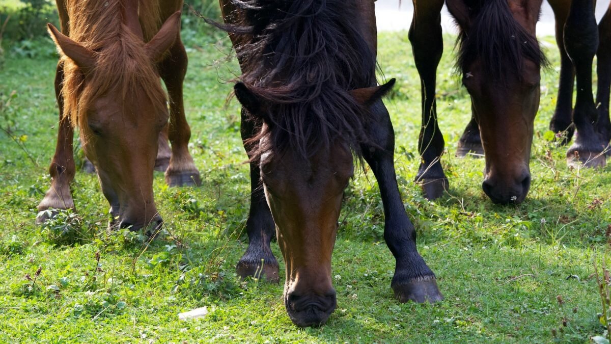    Фото: Miguel Alcântara / Unsplash Август Макаров