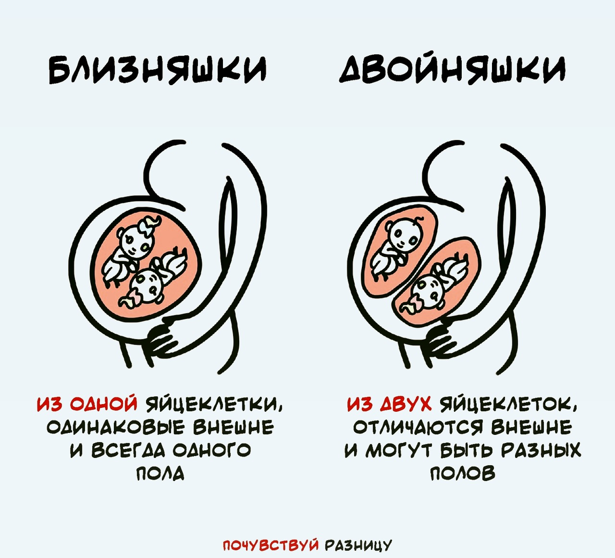 Картинка из открытого доступа Яндекс