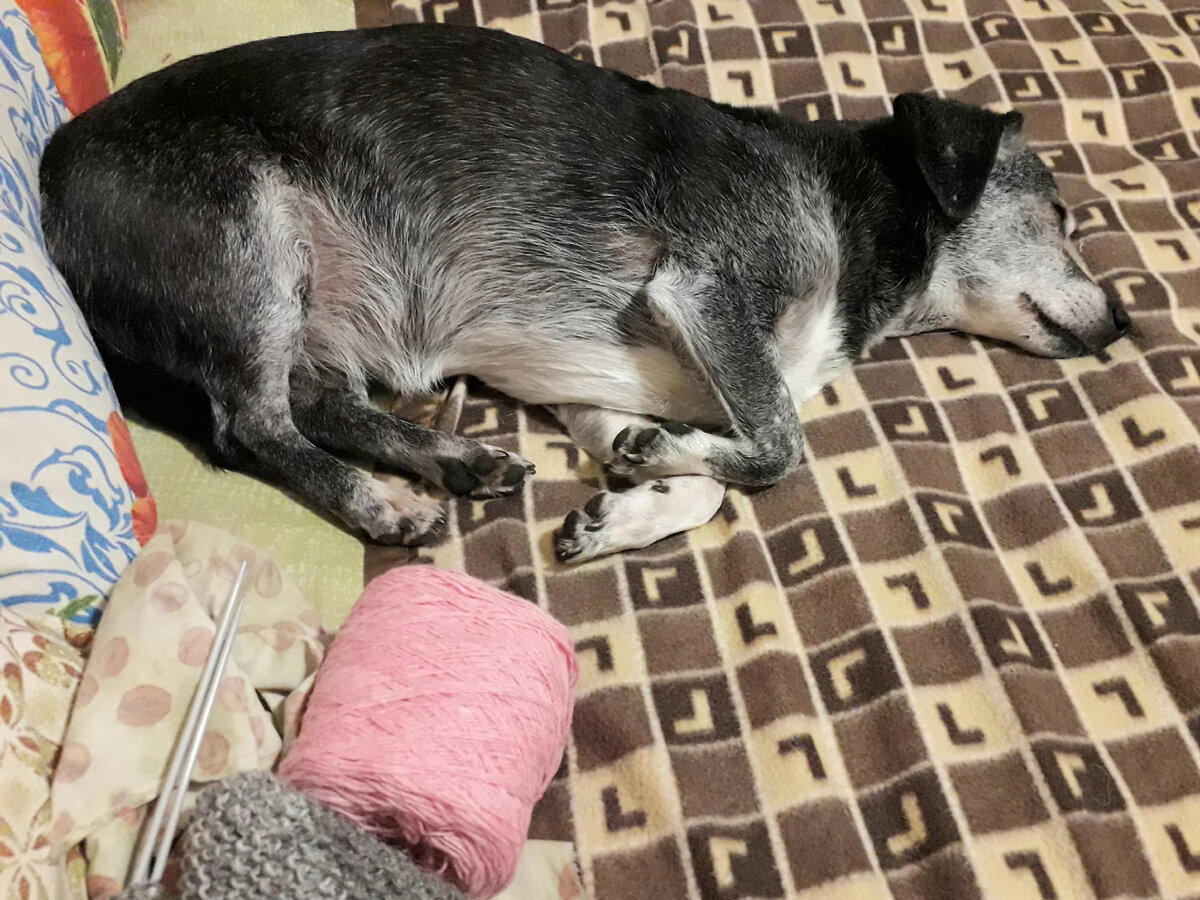 После прогулки