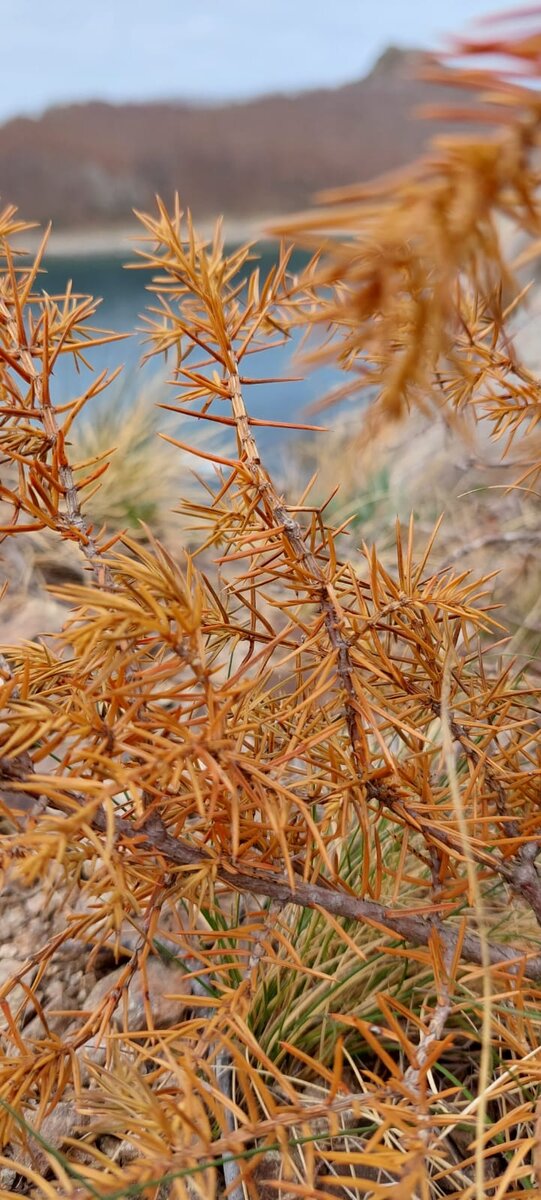 Из личного архива. Всё фотографии сделаны моим братом 
