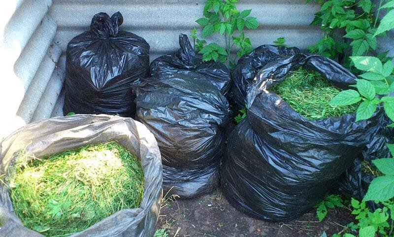 Под компост можно взять любые мешки б/у, лишь бы плотными были.