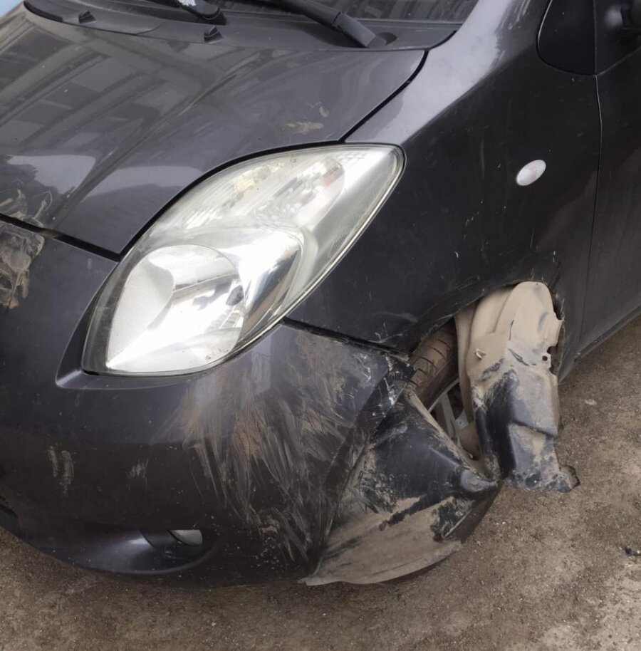    Ущерб от нападения собак составил 40 тысяч рублей. Фото:  АиФ