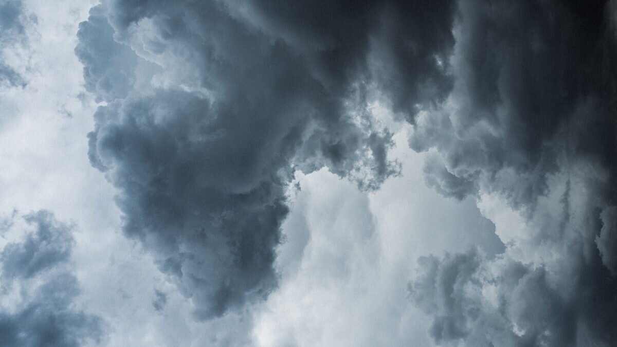    Фото: Daoudi Aissa / Unsplash Август Макаров