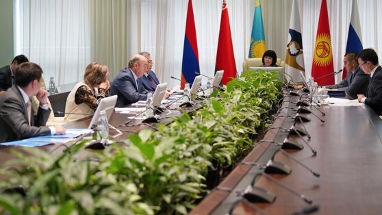    Совет ЕЭК продлил повышенный порог беспошлинной торговли для физлиц Анна Белая