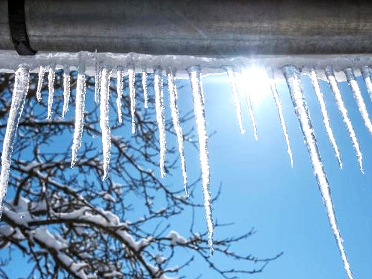 Картинка из источника в свободном доступе