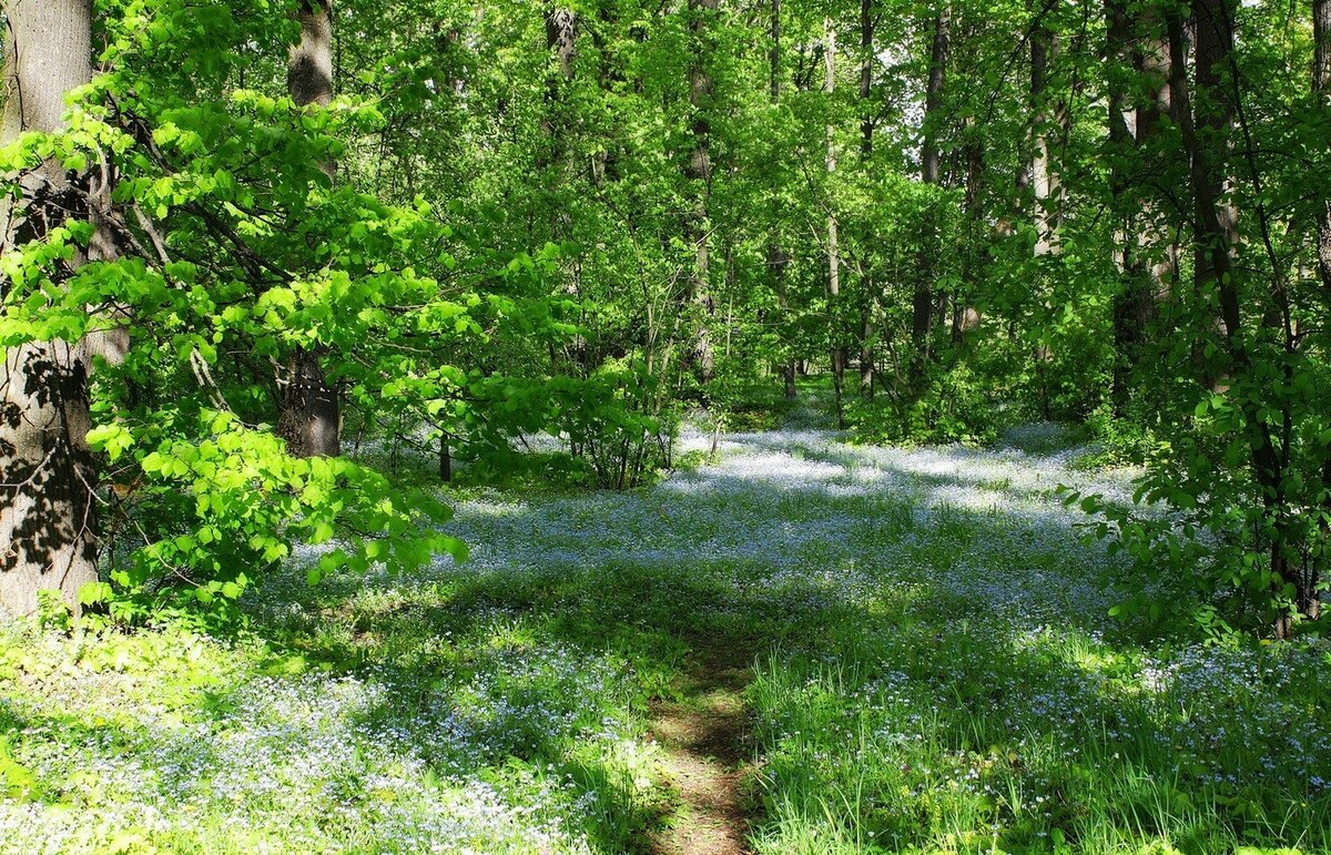 Яндекс картинки, фото с сайта vsegda-pomnim.com