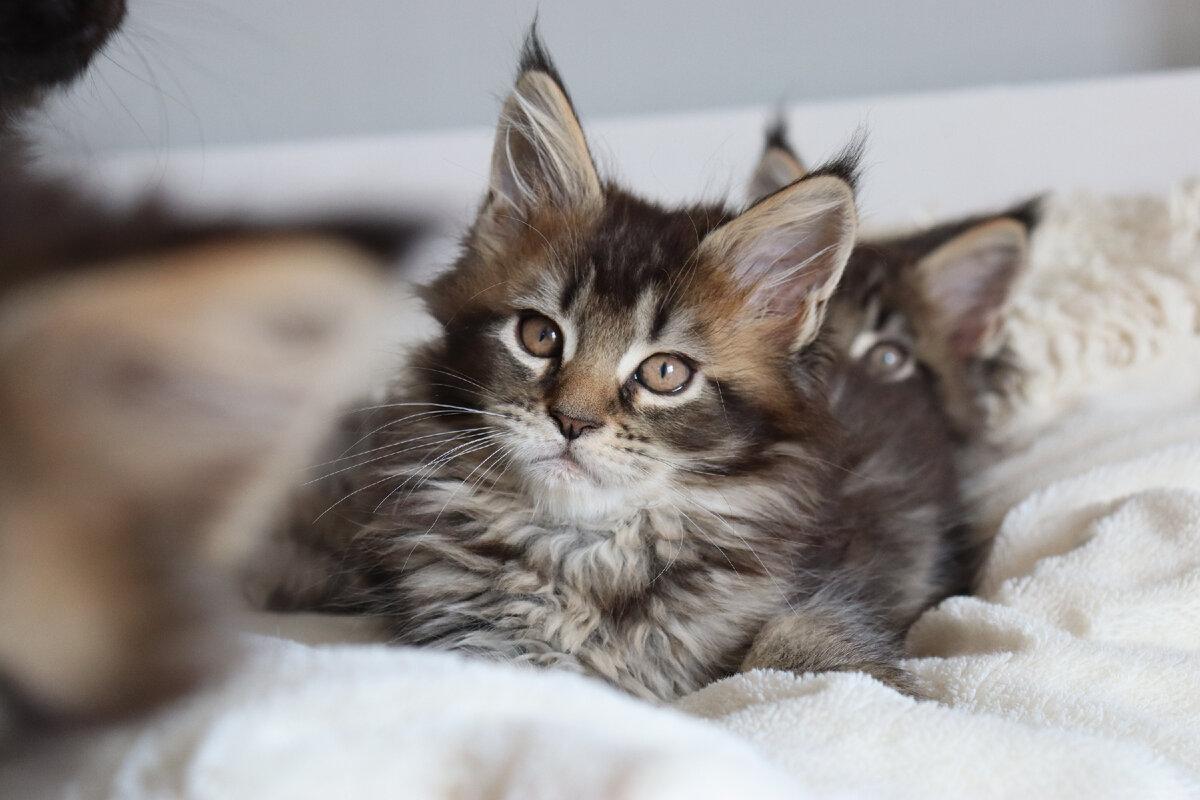 Фото из личного архива.