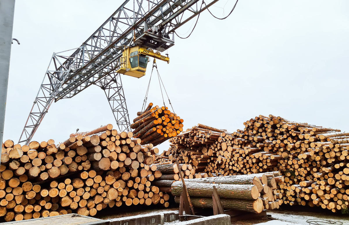 Экспорт лесоматериалов. Лесная промышленность России лесопромышленные комплексы. Лесопромышленный комплекс древесина. Леснаяпромывшленность. Экспорт древесины.