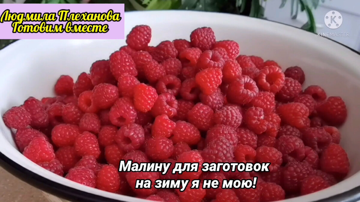 Именно этими способами заготавливаю малину на зиму (малина, заготовленная  таким образом, сохраняет все свои полезные свойства) | Людмила Плеханова  Готовим вместе. Еда | Дзен