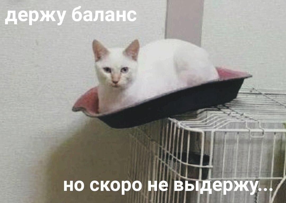 возьми шарик. приколы про одиноких. держите меня семеро я ему втащу.