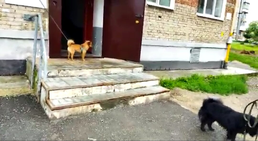 Бережёного Бог бережёт