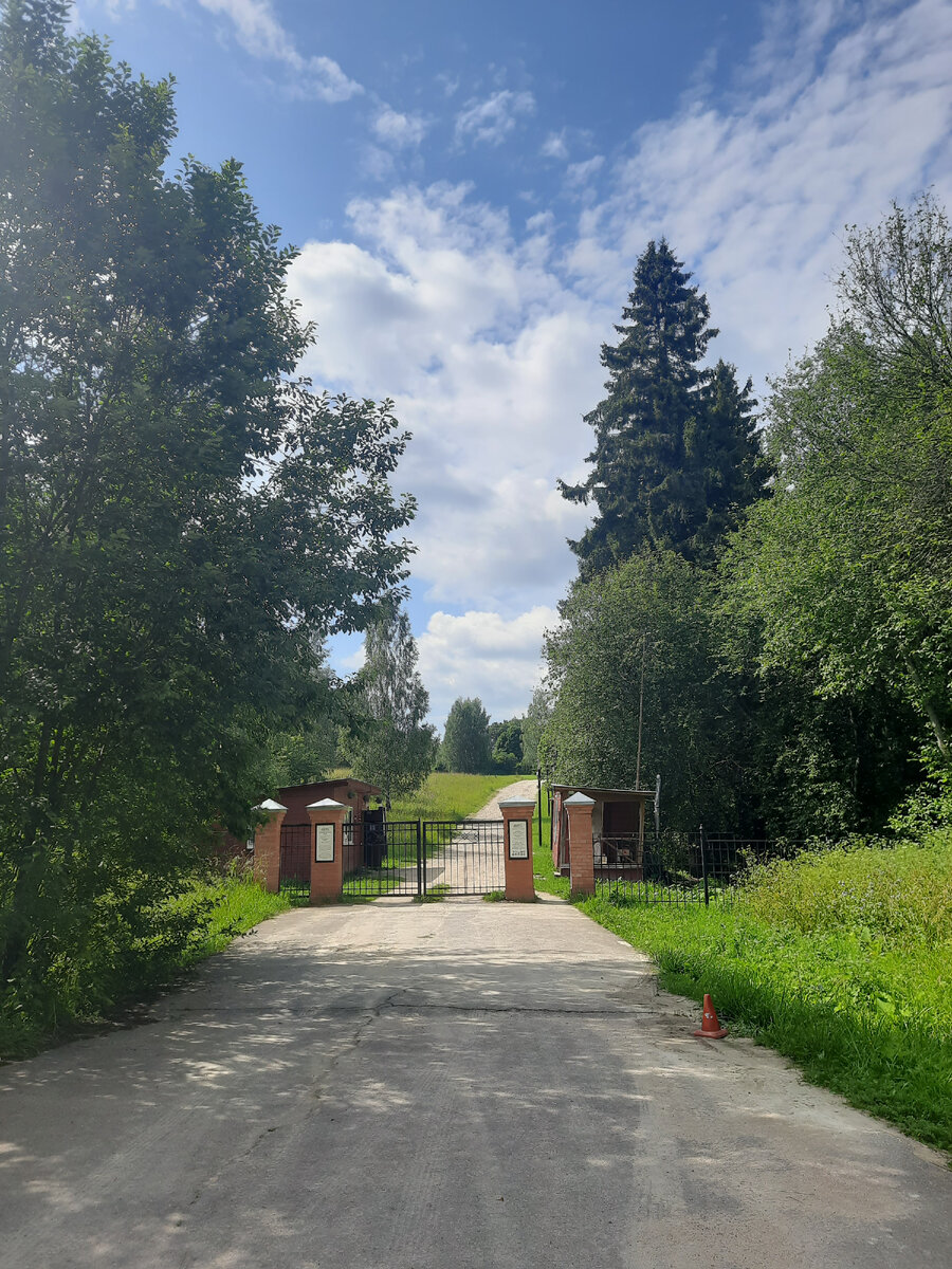 Дорога